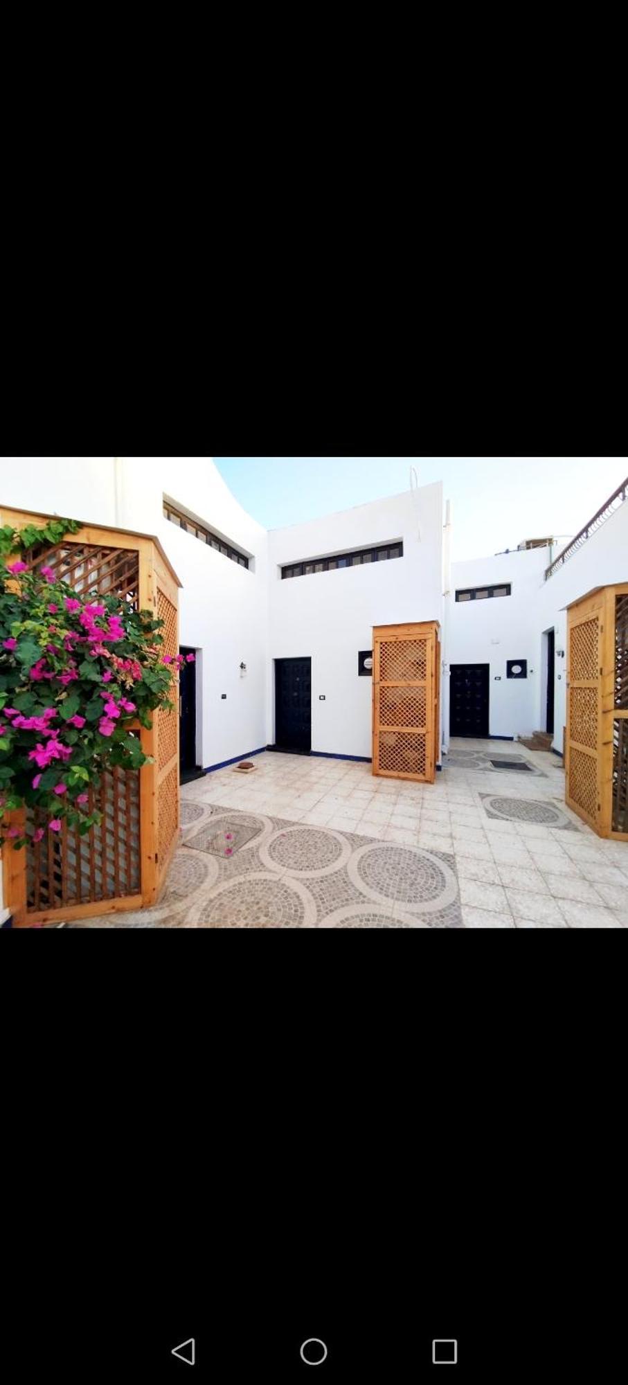 Abouseif Guest House Sarm es-Sejk Szoba fotó