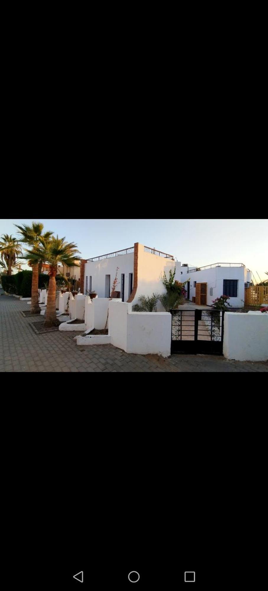 Abouseif Guest House Sarm es-Sejk Szoba fotó