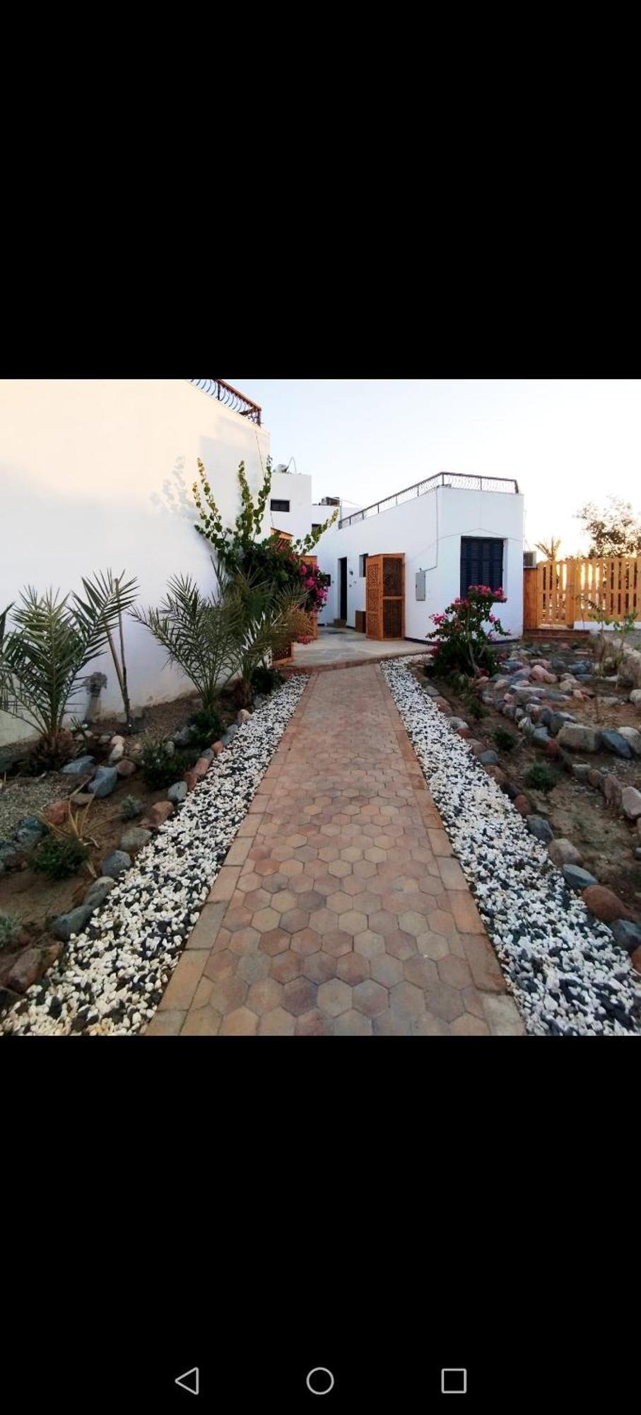 Abouseif Guest House Sarm es-Sejk Szoba fotó